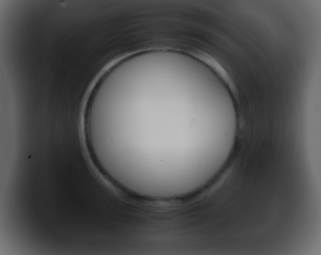 X0000100400947200806060851