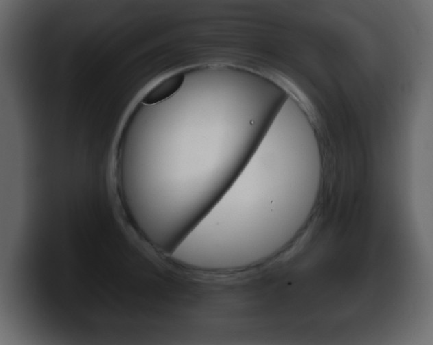 X0000100400948200806060851