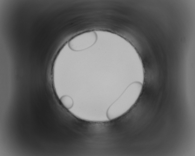 X0000100400950200806060851