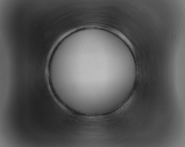 X0000100400951200806060851