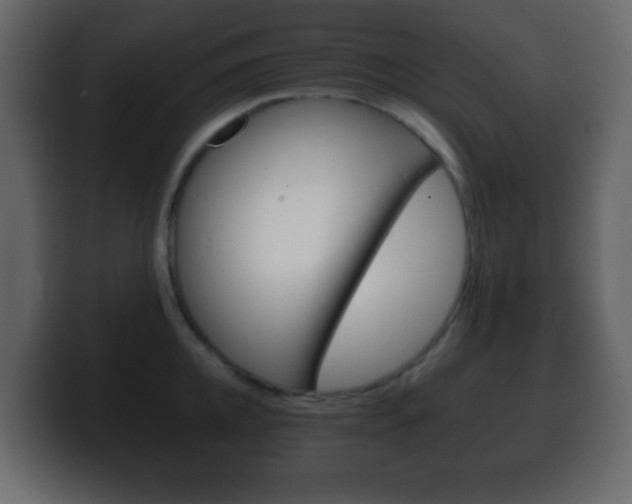 X0000100400952200806060851