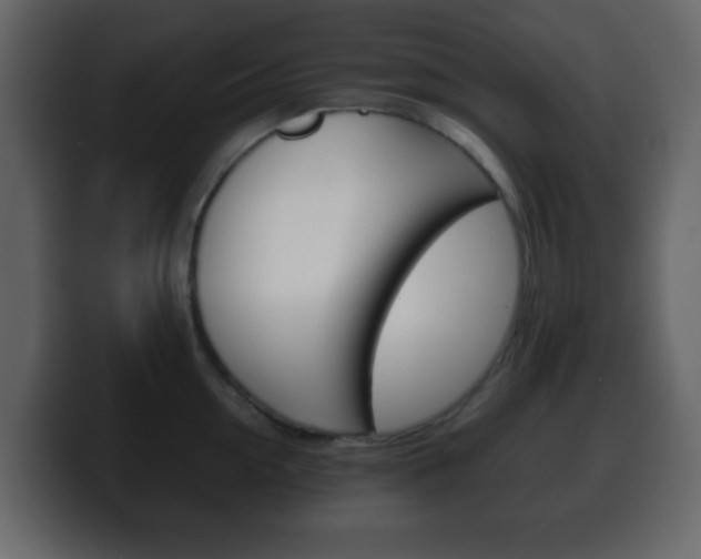 X0000100400954200806060851