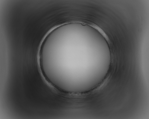 X0000100400955200806060851