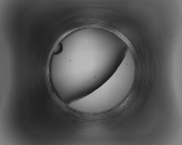 X0000100400956200806060851