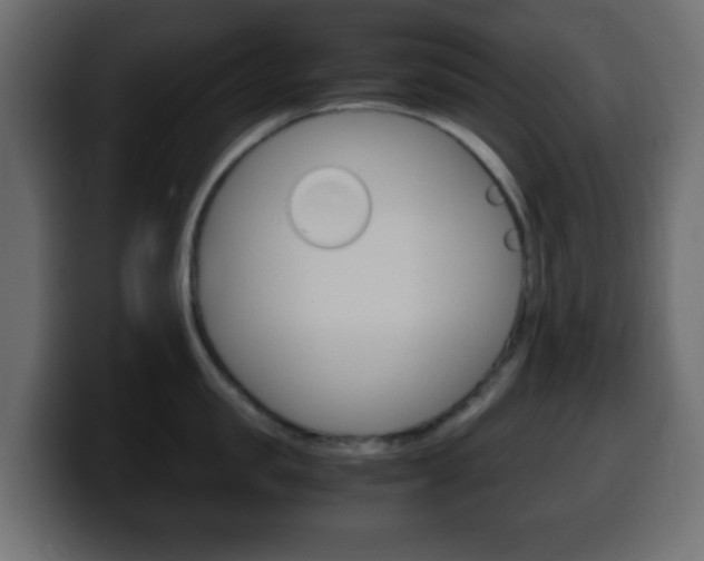 X0000100400957200806060851