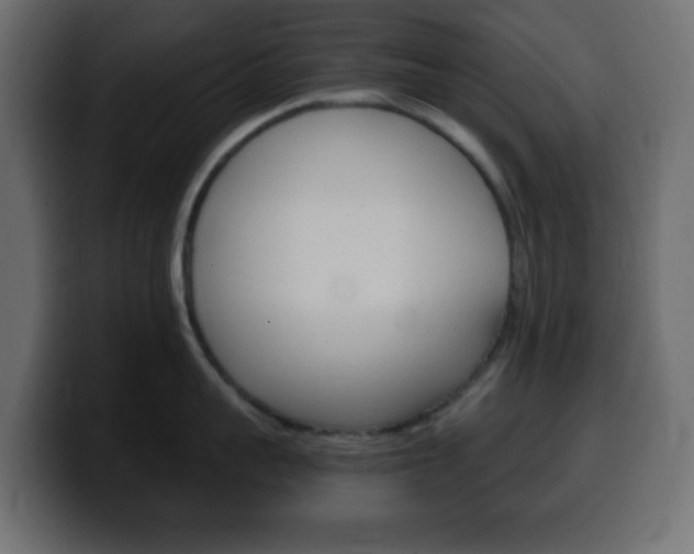 X0000100400959200806060852