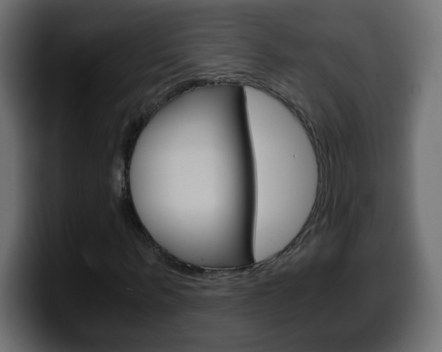 X0000100400963200806060851