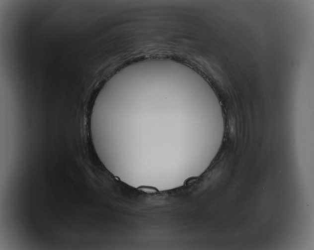 X0000100400964200806060851