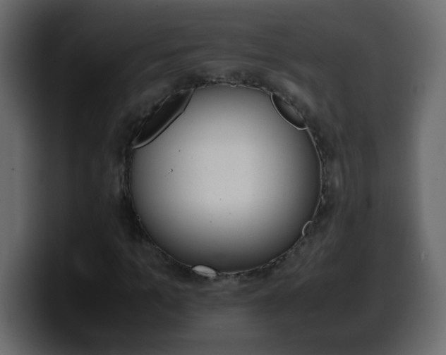 X0000100400965200806060851