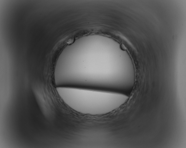 X0000100400967200806060851