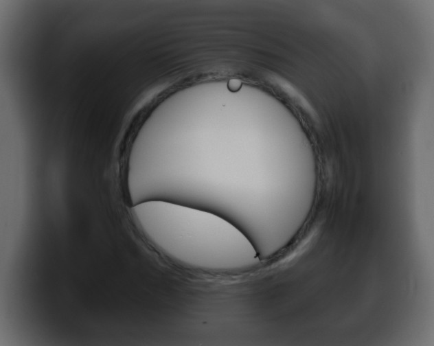 X0000100400970200806060851