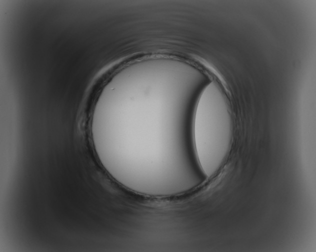 X0000100400971200806060851