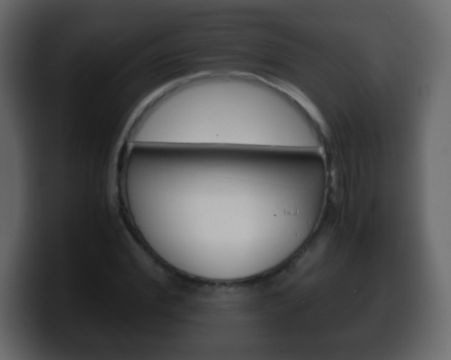 X0000100400972200806060851