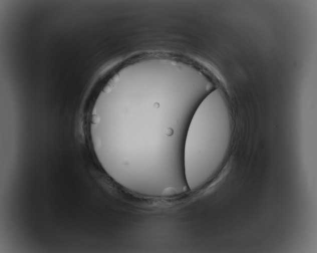 X0000100400974200806060851