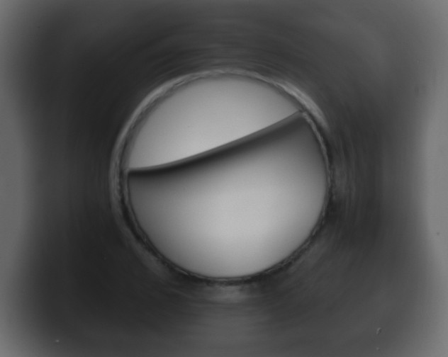 X0000100400976200806060851