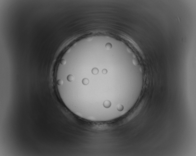 X0000100400978200806060851