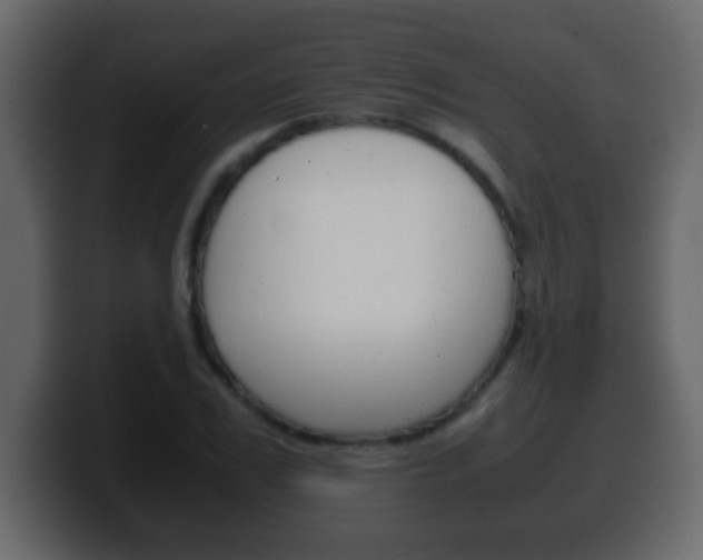 X0000100400979200806060851