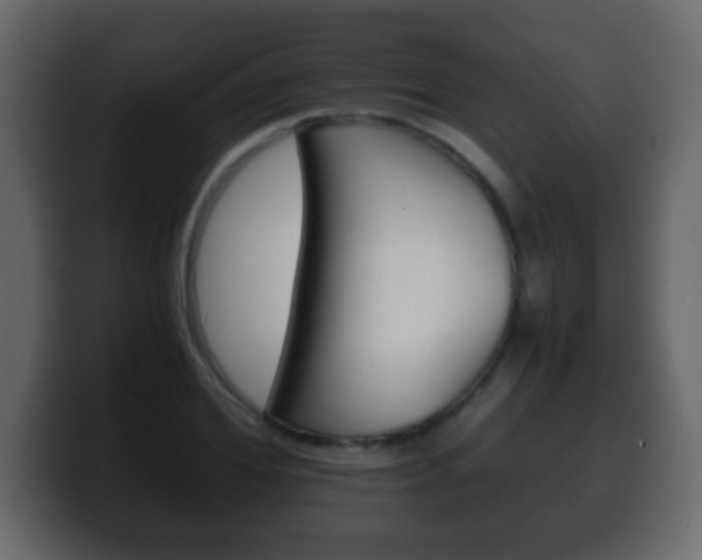 X0000100400980200806060851
