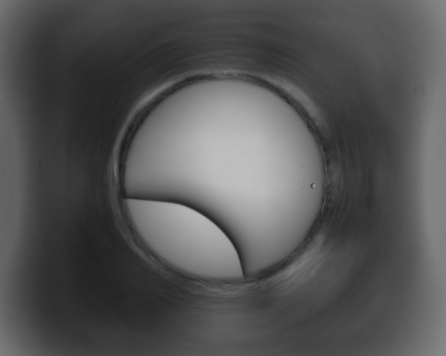 X0000100400982200806060851