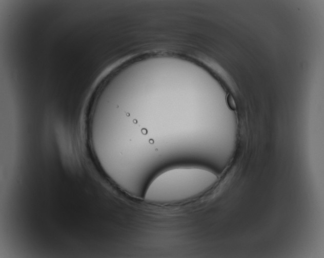 X0000100400983200806060851