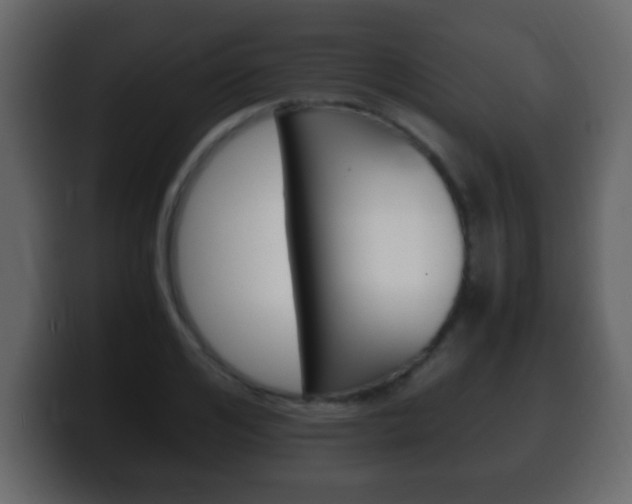 X0000100400984200806060851