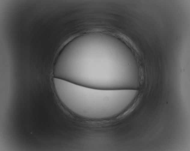 X0000100400985200806060851