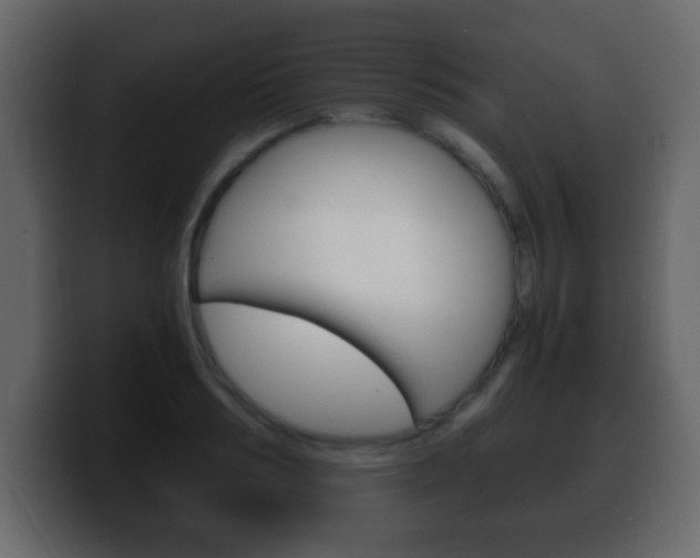 X0000100400986200806060851