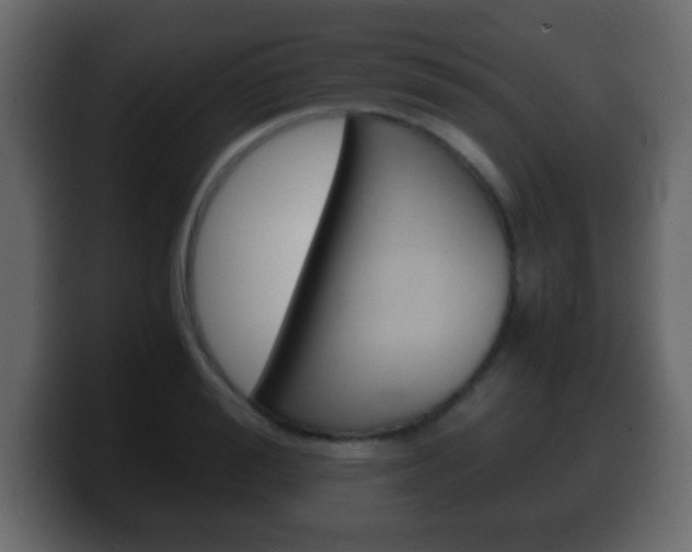 X0000100400988200806060851