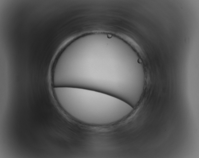 X0000100400990200806060851