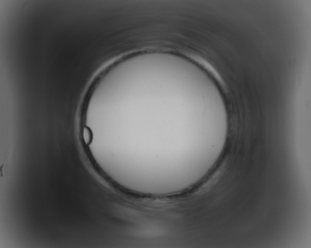 X0000100400991200806060850