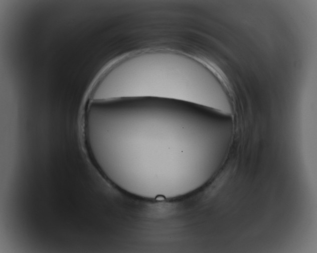 X0000100400992200806060850