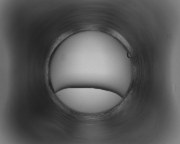 X0000100400994200806060850
