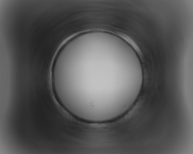 X0000100400996200806060850