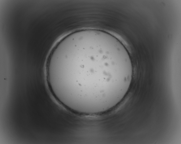 X0000100400998200806060850