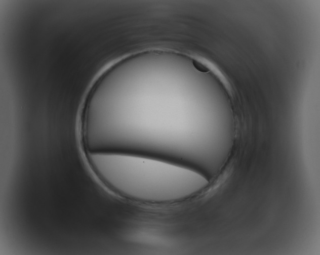 X0000100400999200806060850