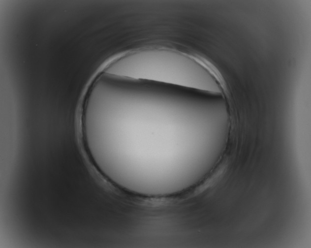 X0000100401000200806060850