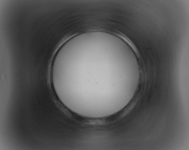 X0000100401002200806060850