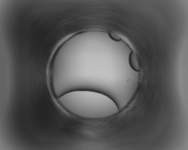 X0000100401003200806060850