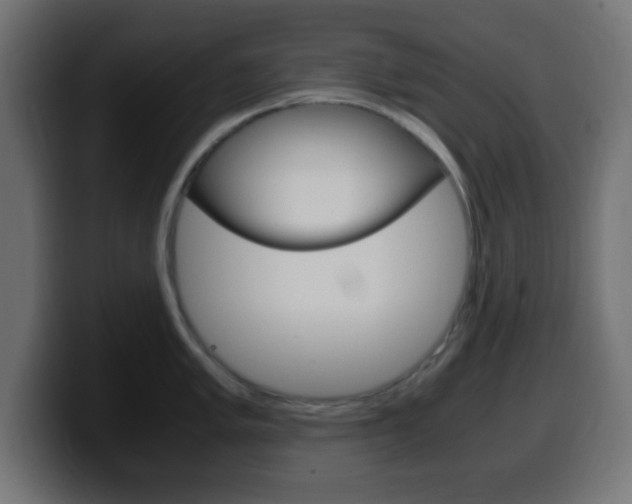 X0000100401005200806060850