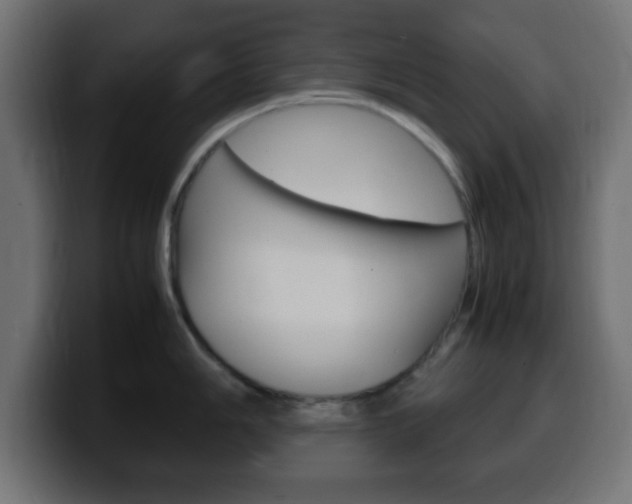 X0000100401006200806060850