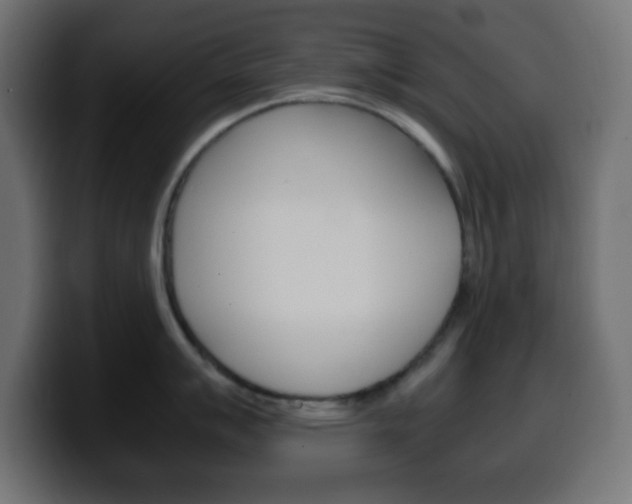 X0000100401007200806060850