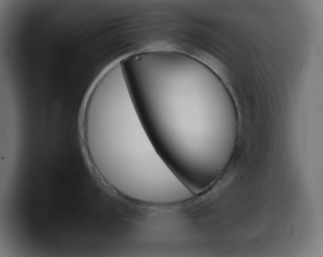 X0000100401008200806060850