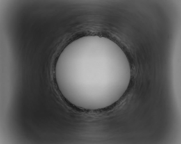 X0000100401009200806060849