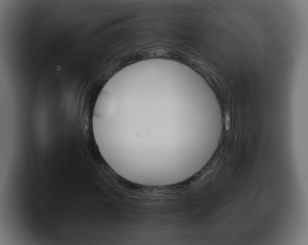 X0000100401011200806060850