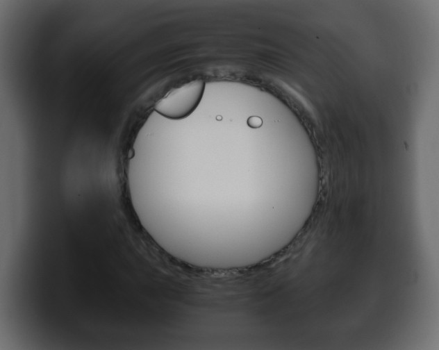 X0000100401015200806060850