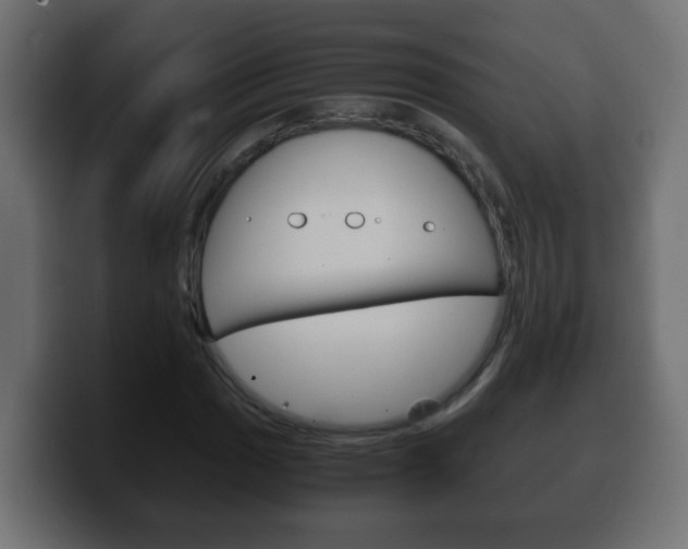 X0000100401017200806060850
