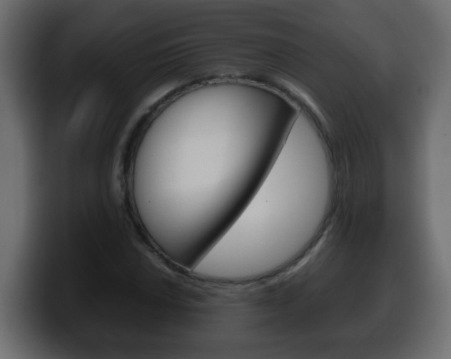 X0000100401018200806060850