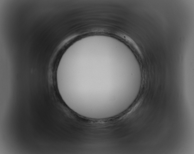 X0000100401019200806060850