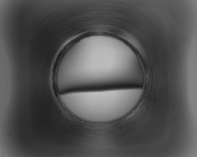 X0000100401020200806060850