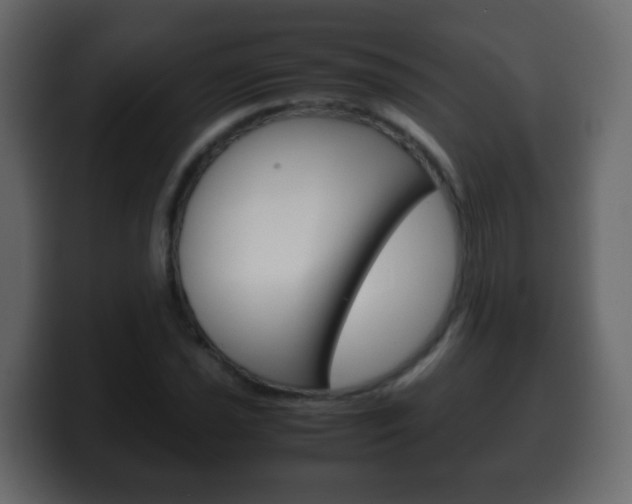 X0000100401021200806060850